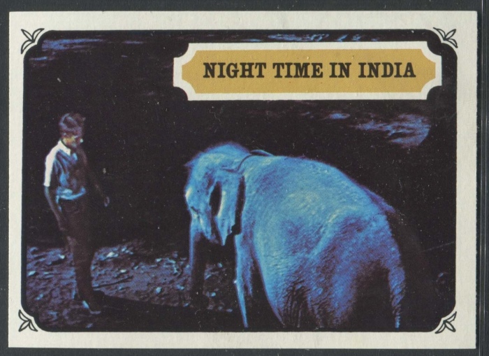17 Night Time In India
